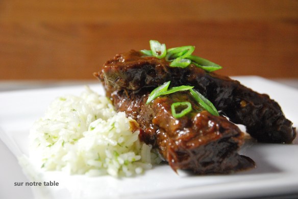 asian short ribs with green onion rice