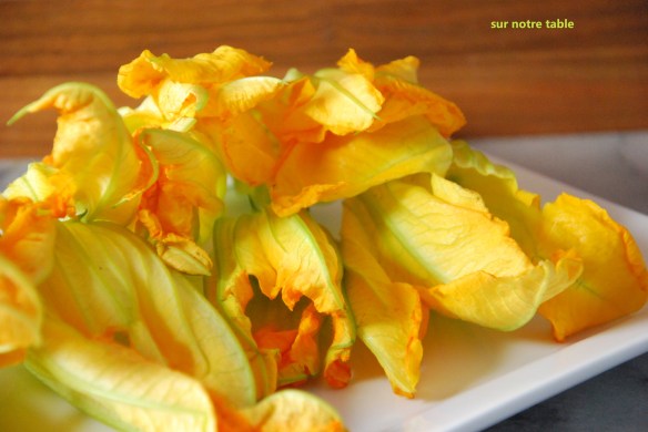 zucchini flowers